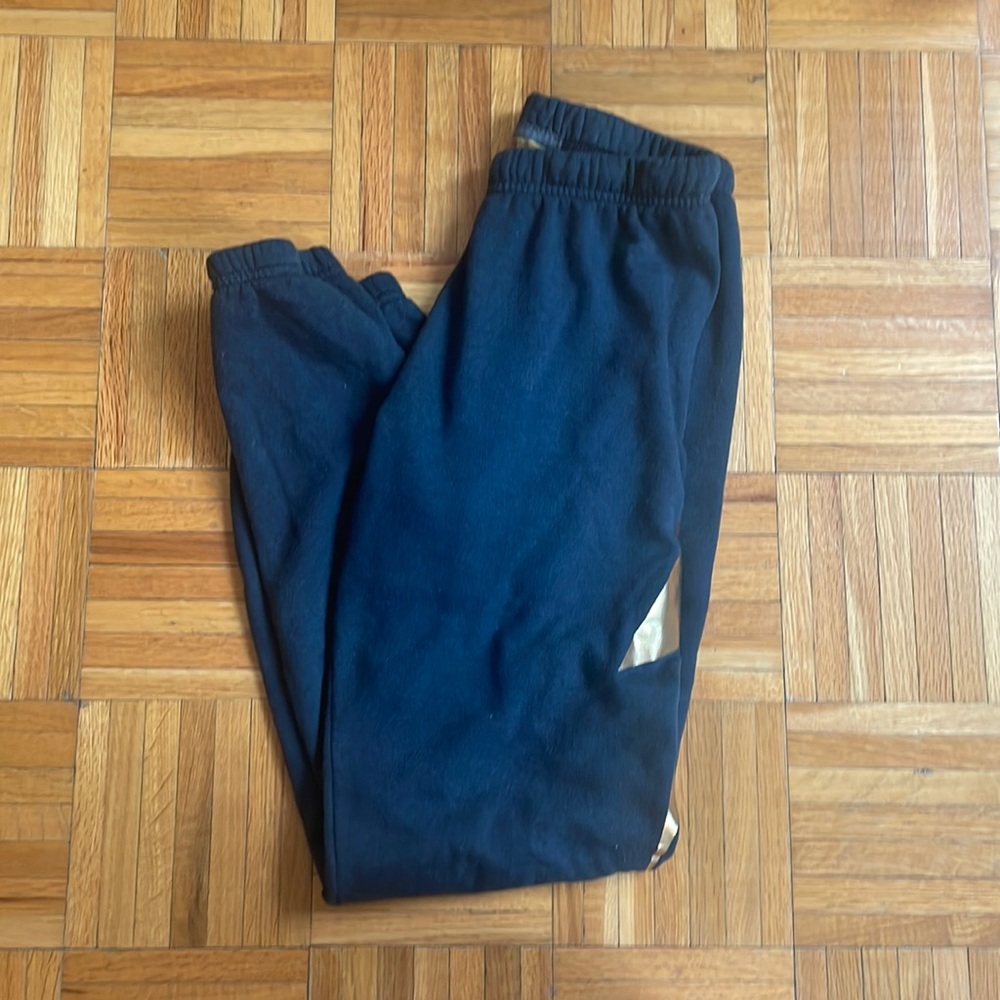 Aviator Nation Sweatpants!! Navy blue sweatpants with a gold lightning bolt!!
